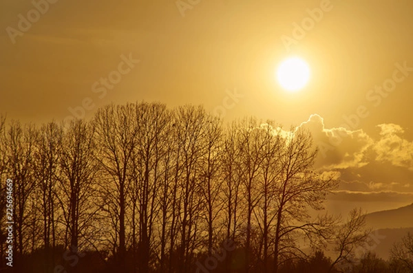 Obraz Adirondack sunset 009