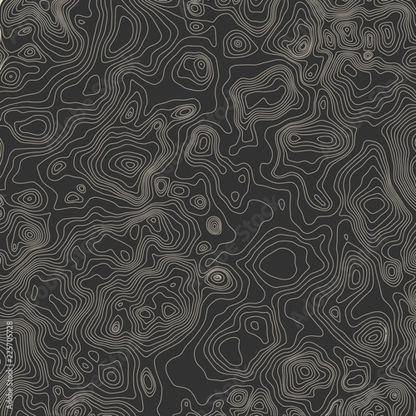 Fototapeta Topographic map background concept with space for your copy.