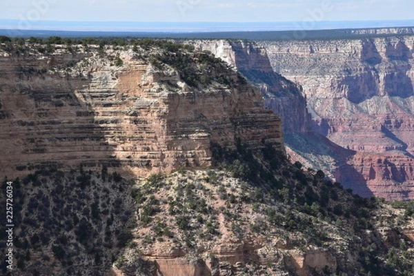 Obraz Grand Canyon Landscape