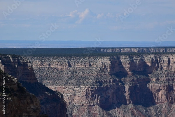 Obraz Grand Canyon Landscape