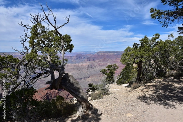 Obraz Grand Canyon Landscape
