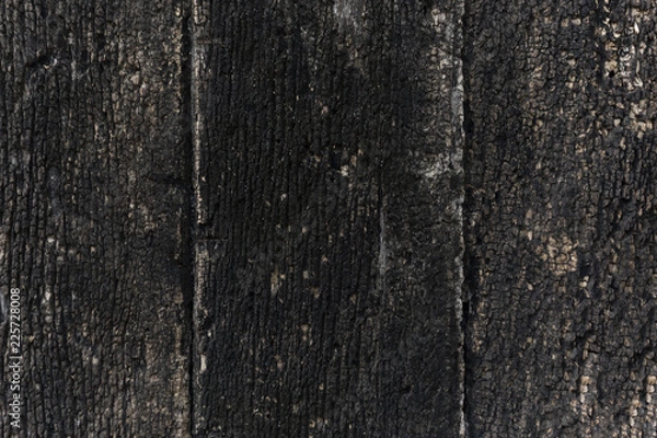 Fototapeta old wood texture background 