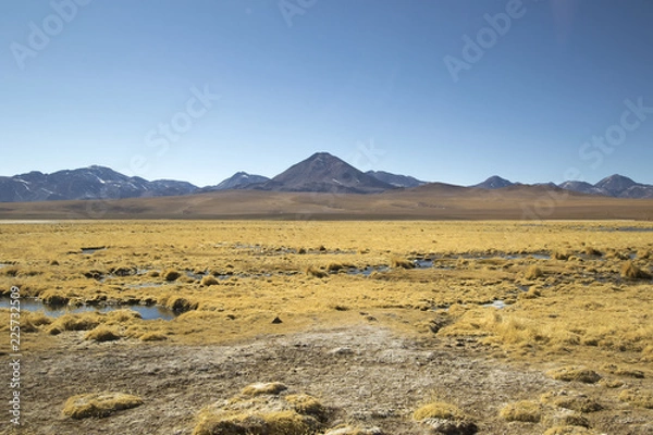 Obraz Atacama Volcano
