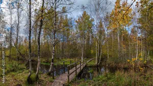 Obraz bridge over the creek in autumn