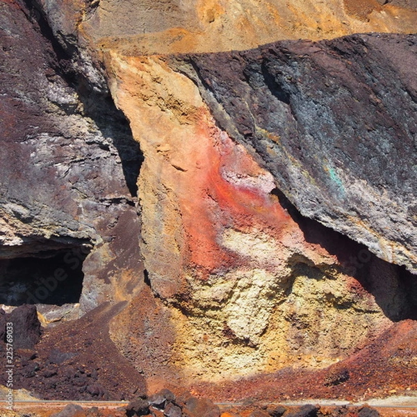 Fototapeta OLYMPUS DIGITAL CAMERA