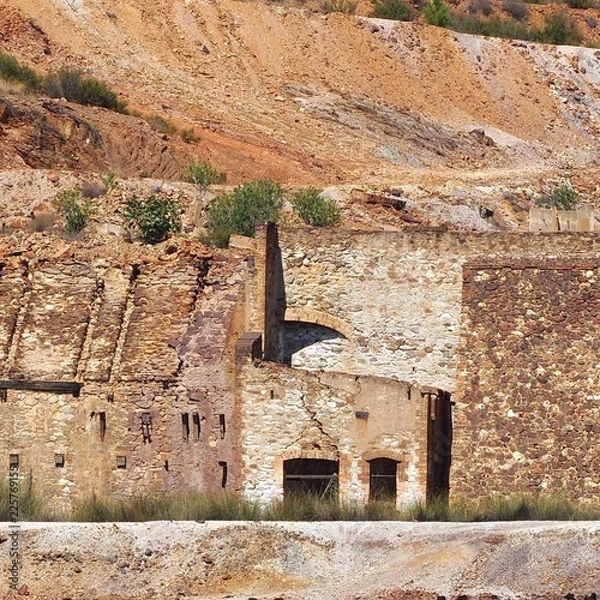 Fototapeta OLYMPUS DIGITAL CAMERA