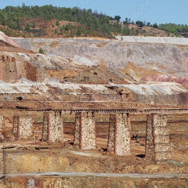 Fototapeta OLYMPUS DIGITAL CAMERA