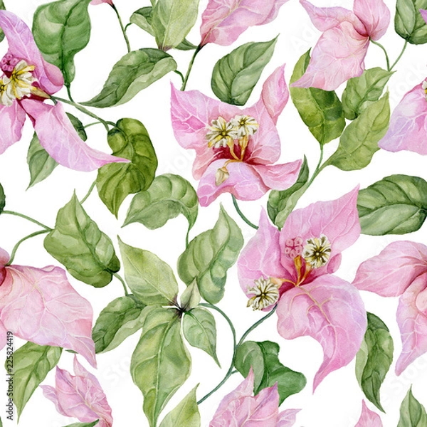 Fototapeta Beautiful bougainvillea flowers on climbing twigs on white background. Seamless floral pattern. Watercolor painting. Hand painted illustration.
