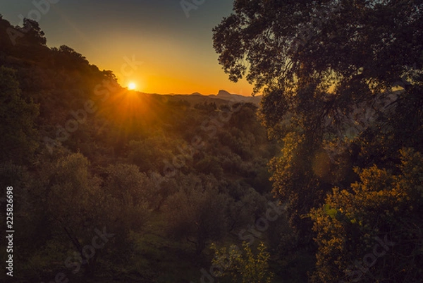 Obraz Atardecer con encanto