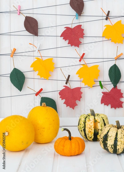 Fototapeta pumpkin october leaves 