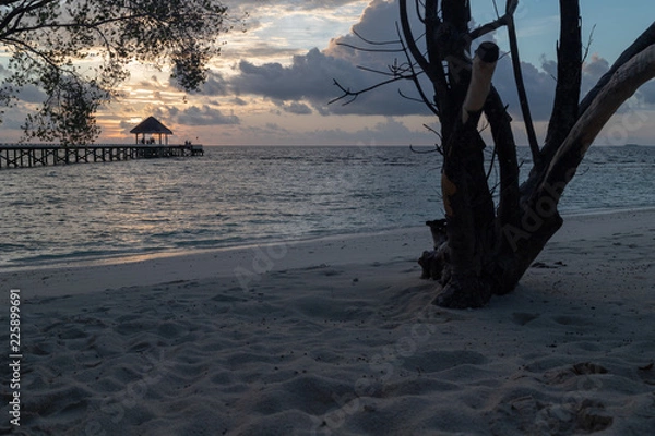 Obraz Tree trunk and sunset jetty