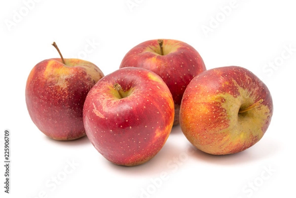 Fototapeta Apfelsorte Wellant