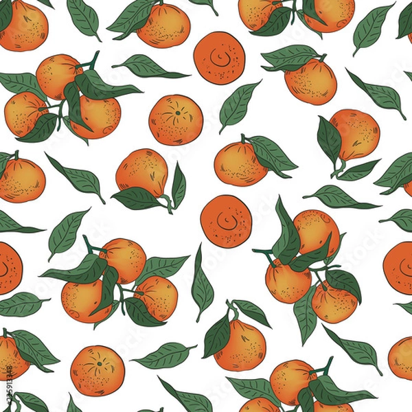 Fototapeta Vector illustration. Hand drawn Mandarins, clementines, citrus. Mandarin seamless pattern.