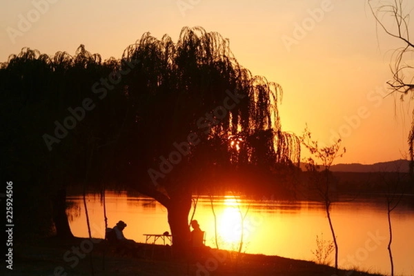 Obraz Atardecer bajo el sauce