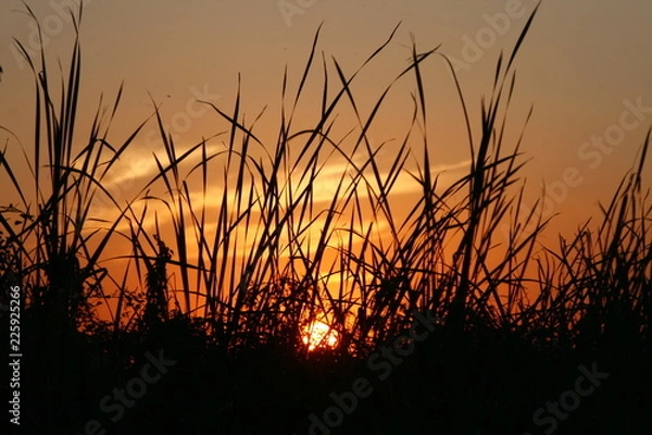 Obraz Atardecer en el campo