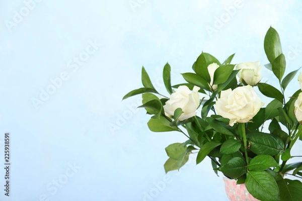 Fototapeta Bouquet of beautiful roses on color background. Space for text