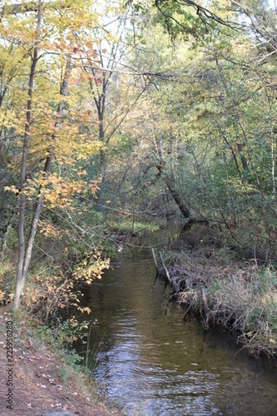 Obraz small creek