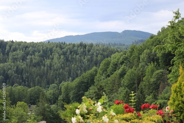 Fototapeta mountains