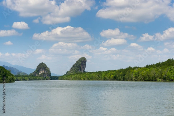Fototapeta grass on ocean