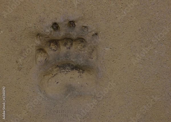 Obraz śledzenie naszych