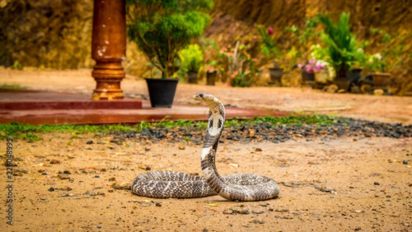 Fototapeta swing in park