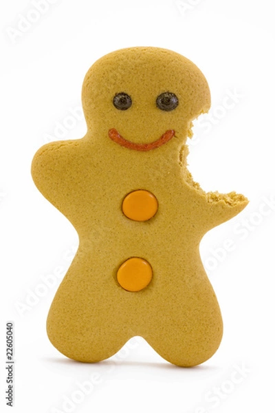 Obraz gingerbread man with bite taken out