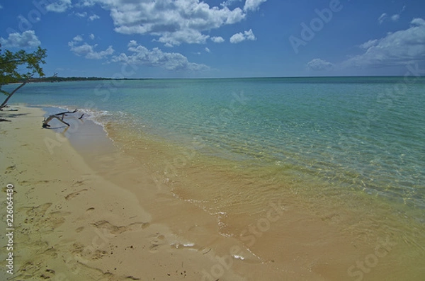 Obraz Beach and footsteps 365