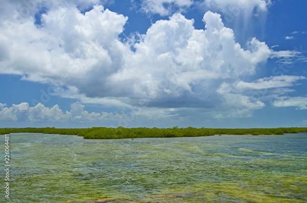 Obraz Marsh and clouds 430