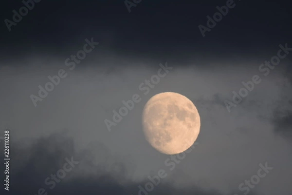Fototapeta 夜空の月