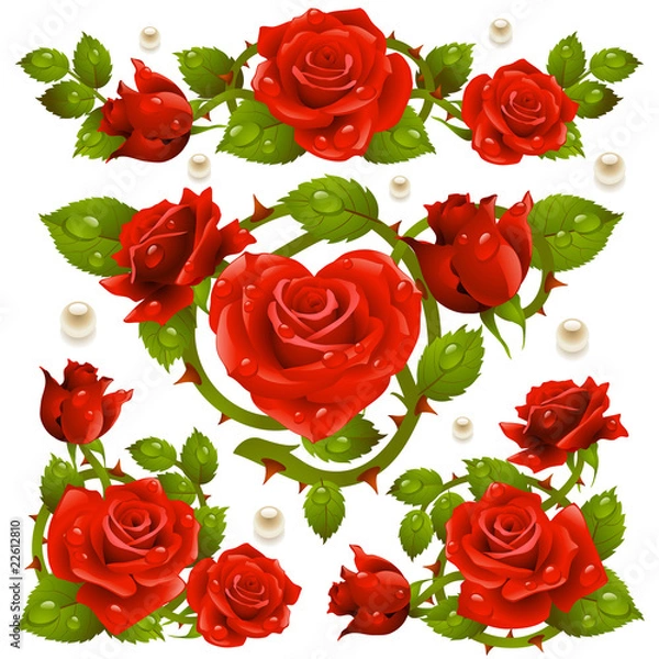 Obraz Red Rose design elements