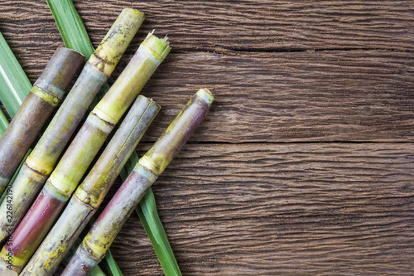 Obraz Close up sugarcane on wood background close up..