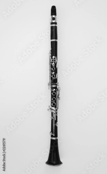 Obraz clarinet, white background