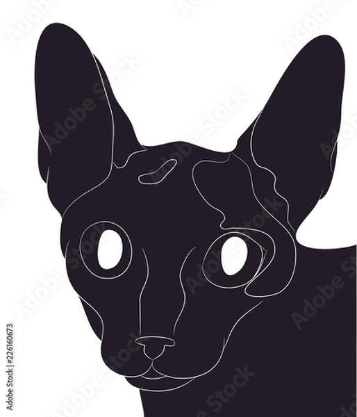 Obraz Cat silhouette, vector