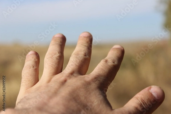 Obraz hand in the distance