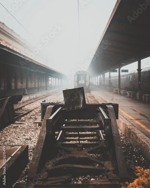 Obraz Train in Fog