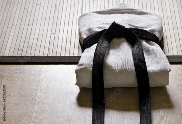Obraz judo z czarnym paskiem