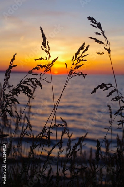 Obraz sunset over the lake