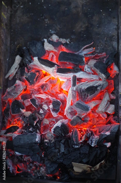 Obraz fire in the fireplace