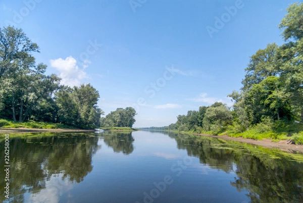 Obraz lake in the forest