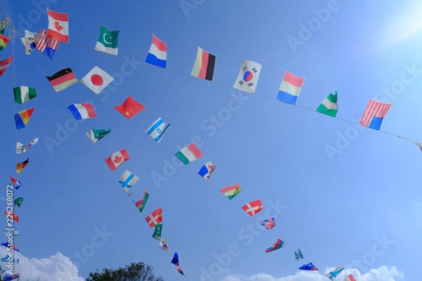 Fototapeta 青空に映える国旗（運動会）