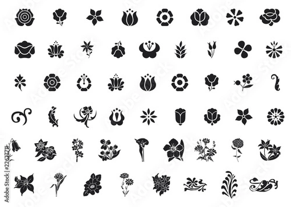 Obraz diversi tipi di fiori e foglie