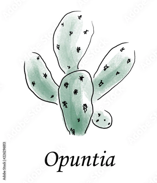Fototapeta Opuntia