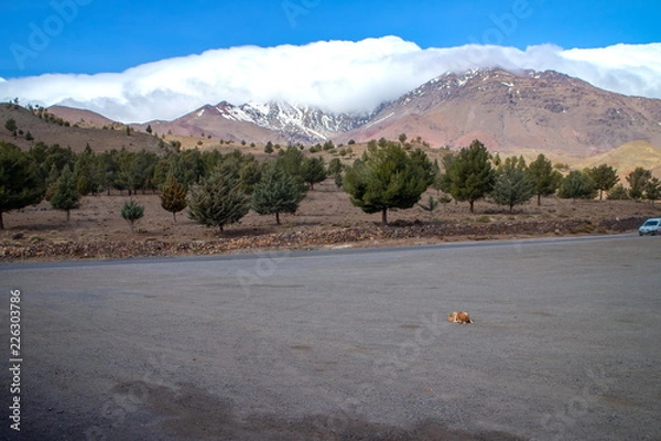 Fototapeta アトラス山脈