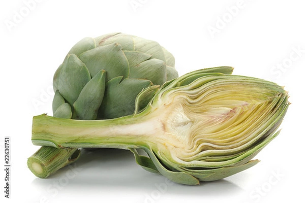 Obraz Artichoke