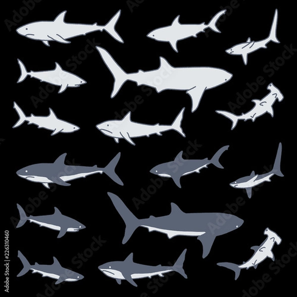 Fototapeta サメのイラスト