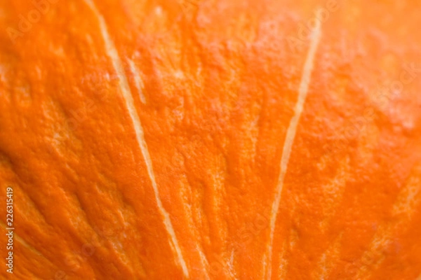 Fototapeta Pumpkin macro background. Orange vegetable background texture
