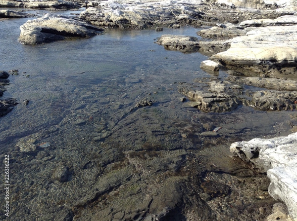 Obraz rocks in water