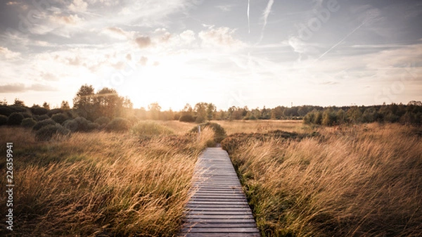 Obraz path during field
