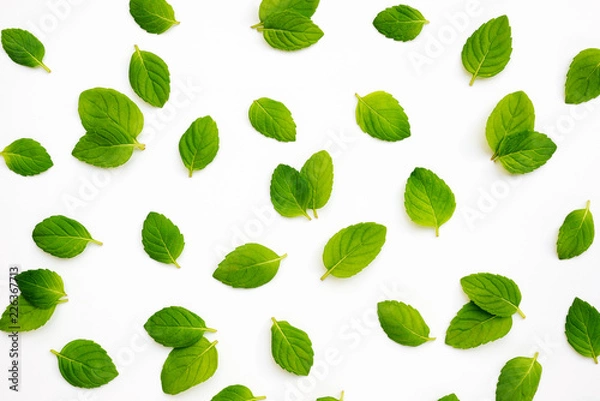 Fototapeta Fresh mint leaves on white background, top view