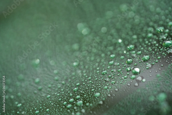Obraz Closeup rain drops on car glass with hydrophobic coating